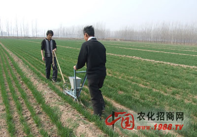 怎样根据土壤的砂粘性施肥