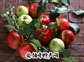 小凉山优质苹果