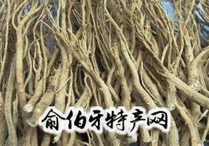 淮南柴胡