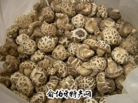 赵湾香菇