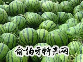 睢县马泗河西瓜