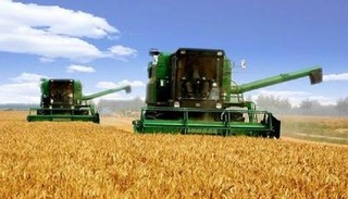 小麦价格2023年是涨是跌？目前小麦多少一斤？