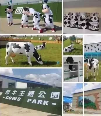 清镇现代高效畜草生态循环农业——鲜奶背后的故事