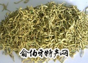 封丘金银花