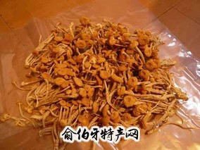 广昌茶薪菇