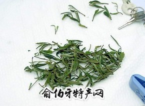 金刚碧绿茶