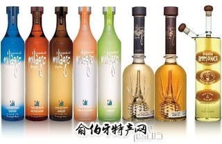 龙舌兰酒