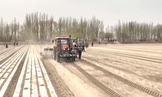 新疆生产建设兵团土地管理规定（试行）