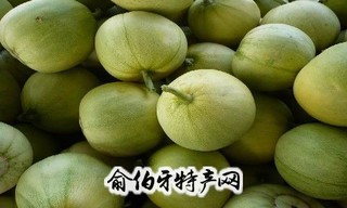 大黑坨甜瓜