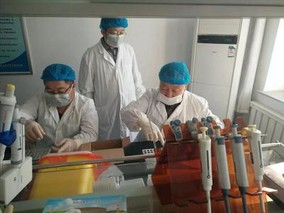 内蒙古自治区兽医实验室建设与管理办法(试行)