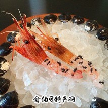 荷包牡丹虾