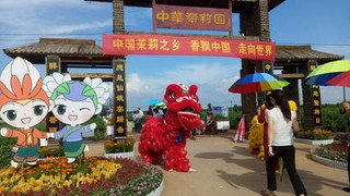 第二届世界茉莉花大会、2020年中国（横县）茉莉花文化节在广西南宁开幕