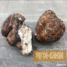 新鲜茯苓价格如何？哪里产的好？