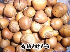 岫岩榛子