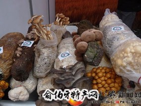 郫县永丰食用菌