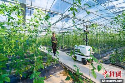 用低碳生态农业改造现代农业