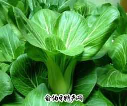 荆坪无公害蔬菜