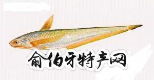 芜湖刀鱼