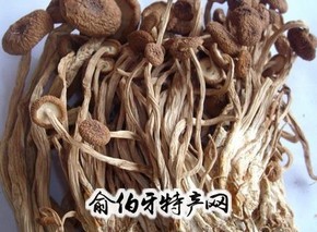 广昌茶树菇