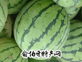 板子房西瓜