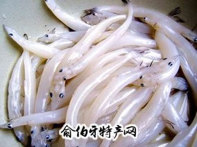 鄱阳湖银鱼