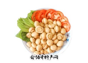 食用菌“蘑菇”