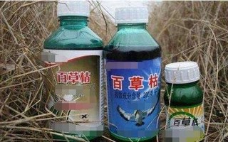 江西开展含禁用农药“百草枯”专项整治行动