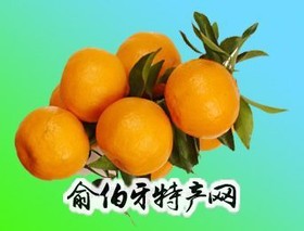 无核桃柑