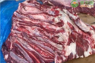 9月牛肉价格多少钱一斤？