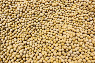 2022国庆大豆价格多少钱一斤？