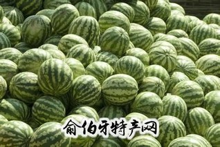 东升西瓜