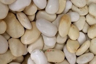 乌苏里江芸豆