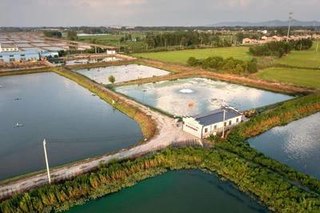 江苏南京水科所在国内率先尝试池塘循环生态养殖