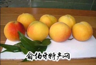 大连黄桃