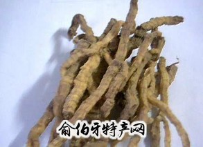 邵东玉竹