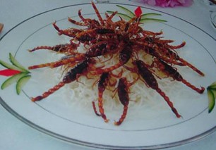 十足全虫