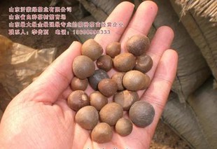 沂蒙绿茶