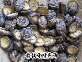 野生香菇