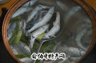 抗浪鱼