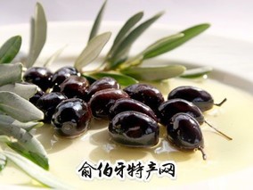 甘肃油橄榄