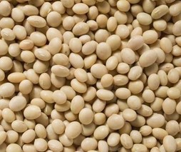 目前大豆价格多少钱一斤？