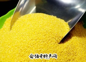 蔚县桃花小米