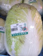 白菜涨价韩大幅进口中国泡菜是怎么回事？