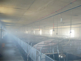 夏季养猪：养猪场喷雾降温措施