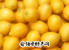 连南无核柠檬