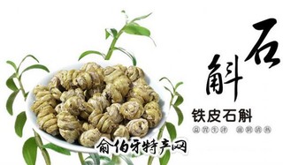 雅长铁皮石斛