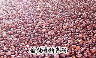 西域楼兰红枣