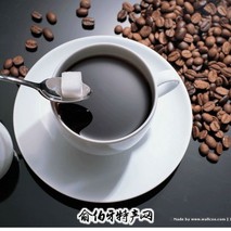肯尼亚咖啡