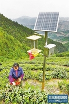 太阳能杀虫灯 推动农药零增长