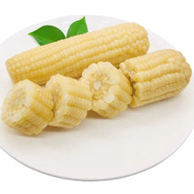 新鲜采摘的糯玉米如何保鲜外运出省？需要注意哪些事项？
